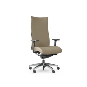Ergonominė kėdė Action 100SFL
